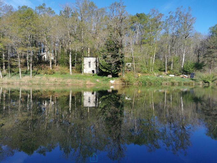 Image No.3-Propriété à vendre à Videix