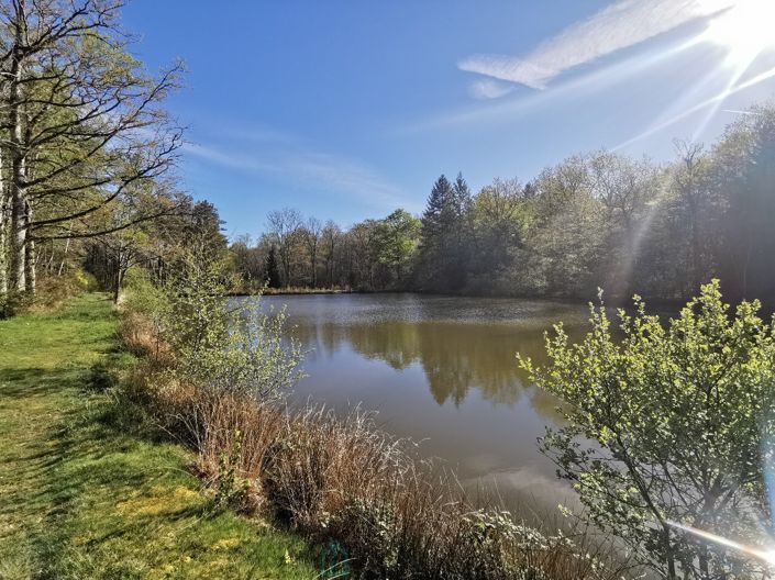 Image No.7-Propriété à vendre à Videix