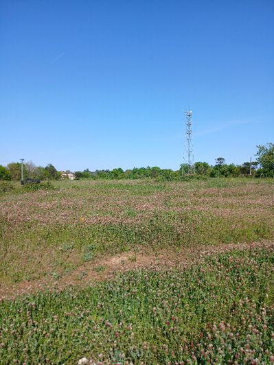 Image No.20-Property for sale