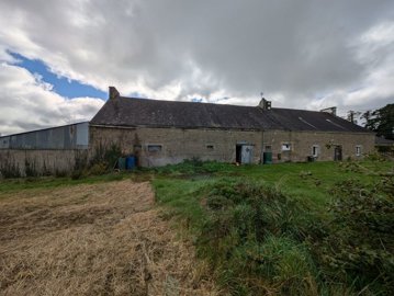 7501116561612