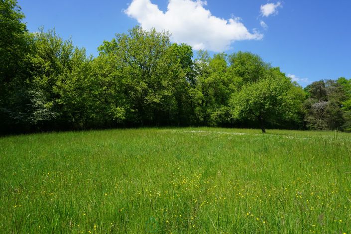 Image No.13-3 Bed Property for sale