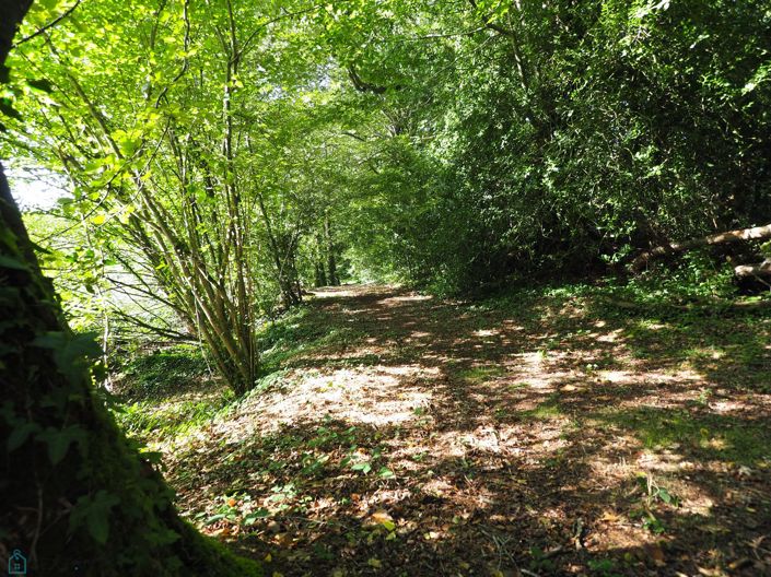 Image No.14-6 Bed Property for sale