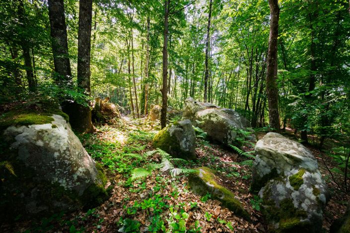 Image No.9-6 Bed Masseria for sale