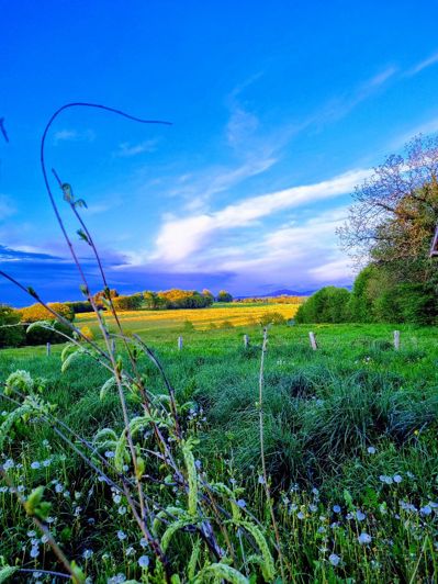 Image No.3-6 Bed Property for sale