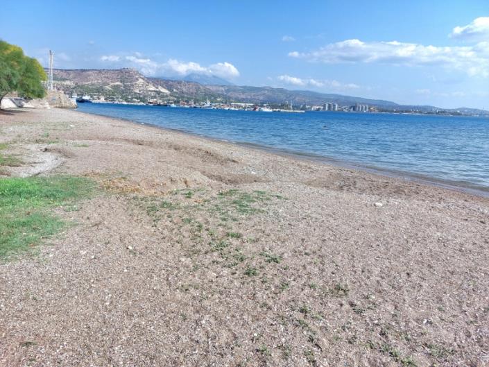 Image No.49-5 Bed Villa for sale