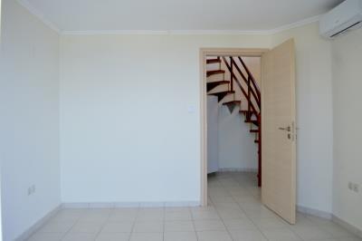 big_642108533