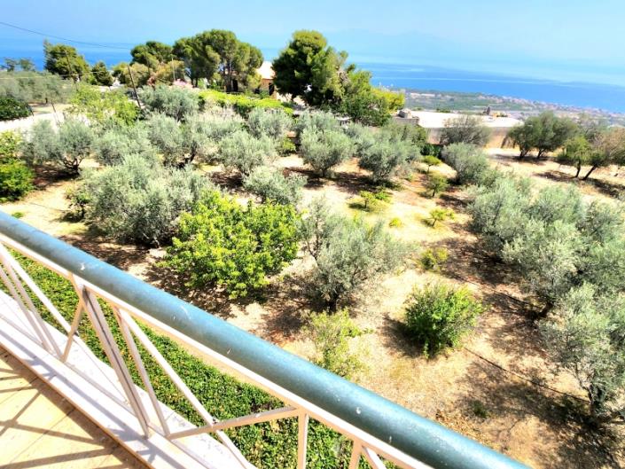 Image No.27-5 Bed House for sale