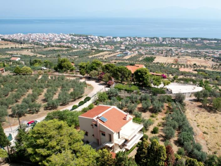 Image No.3-5 Bed House for sale