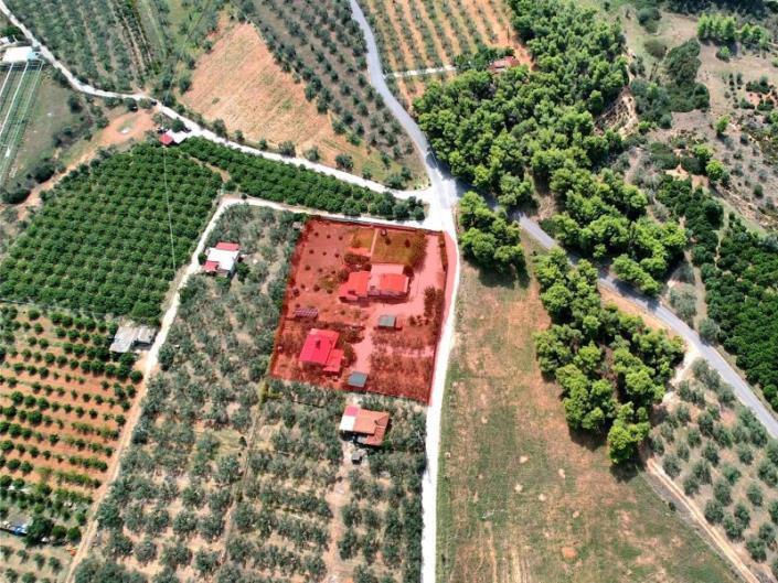 Image No.31-Maison de 5 chambres à vendre à Orea Eleni