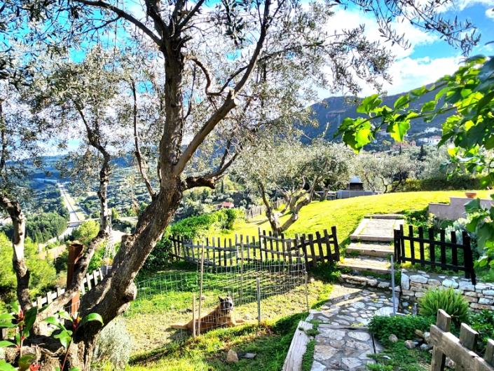 Image No.27-Maison de 4 chambres à vendre à Péloponnèse