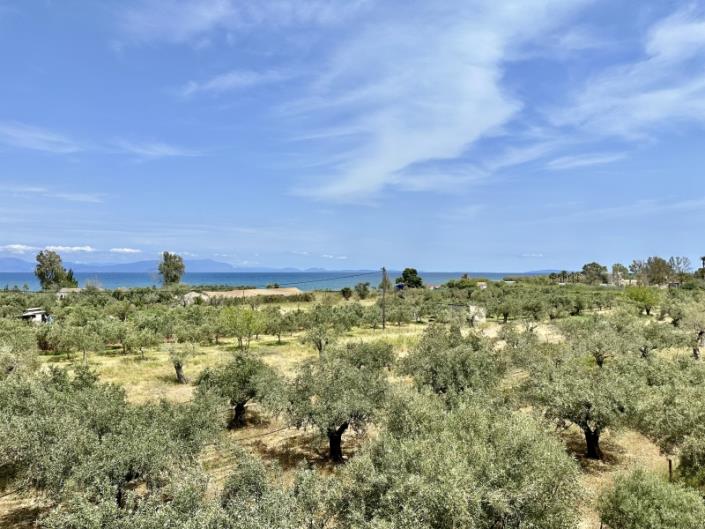 Image No.27-Maison de 2 chambres à vendre à Astros