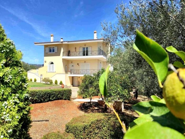 Image No.4-Maison / Villa de 7 chambres à vendre à Corinthia