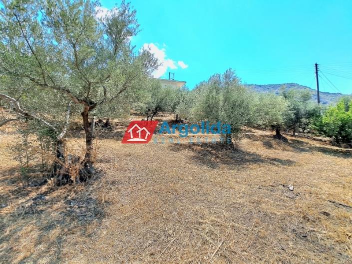 Image No.39-5 Bed House for sale