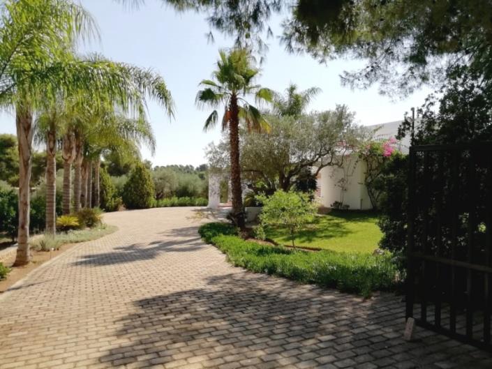 Image No.3-Villa de 4 chambres à vendre à Kranidi