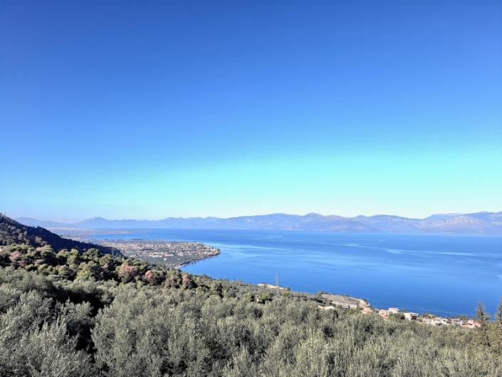 Image No.5-3 Bed House for sale