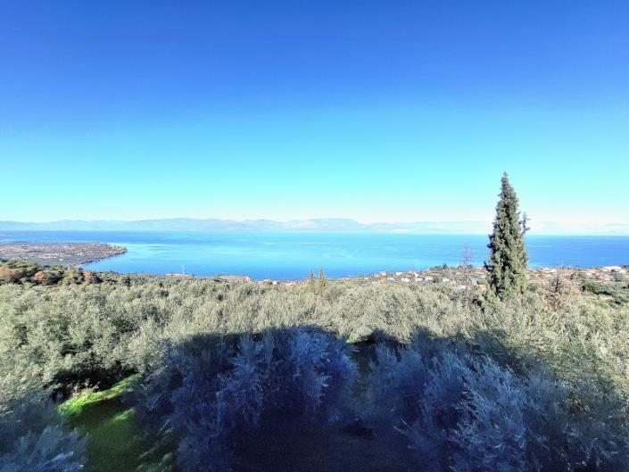 Image No.6-3 Bed House for sale