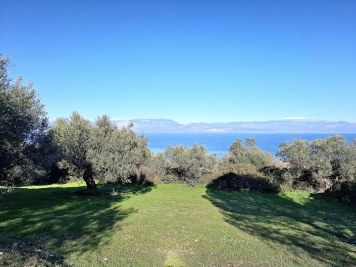 Image No.34-3 Bed House for sale