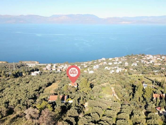 Image No.30-3 Bed House for sale