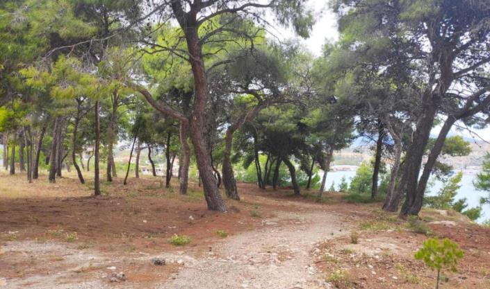 Image No.25-3 Bed House/Villa for sale