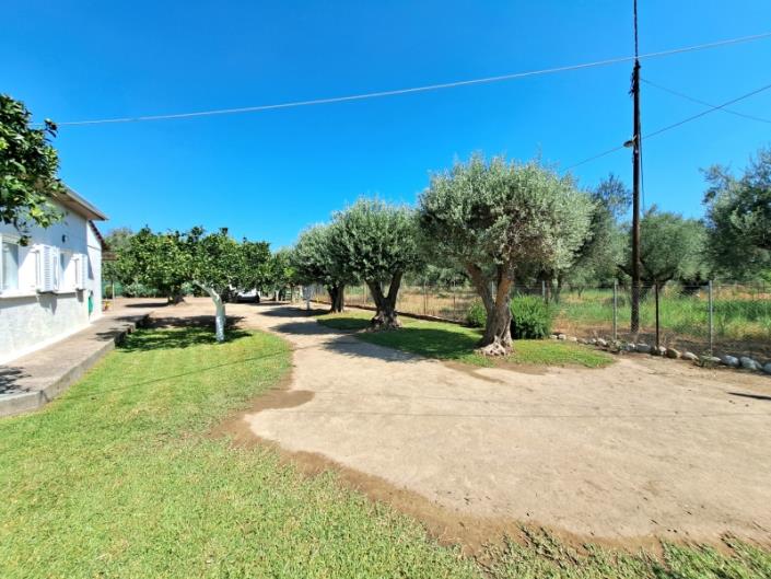 Image No.20-4 Bed House for sale