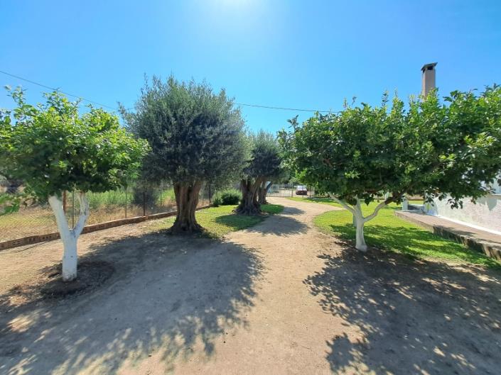 Image No.28-4 Bed House for sale