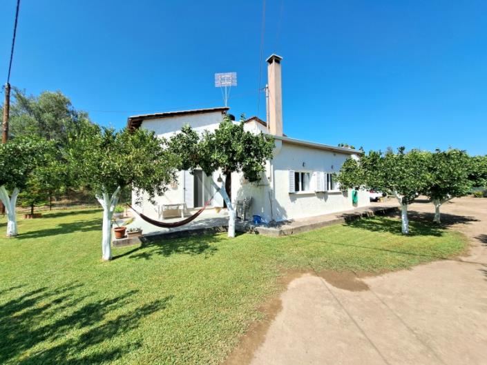 Image No.37-4 Bed House for sale