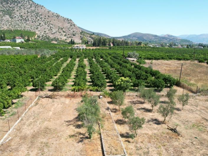 Image No.18-3 Bed Country House for sale