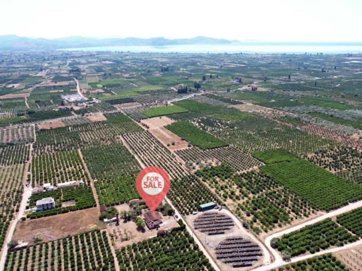 Image No.16-3 Bed Country House for sale