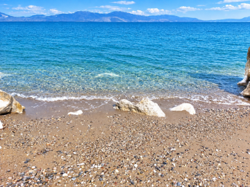 ChatGPT-Image-12-----2026--08_10_31-------9-