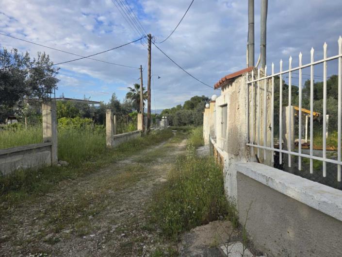 Image No.42-Maison de 3 chambres à vendre à Orea Eleni