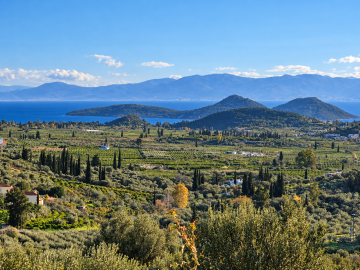 ChatGPT-Image-23-----2026--05_21_13-----