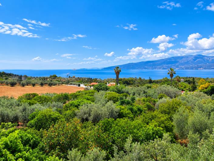 Image No.2-3 Bed House/Villa for sale