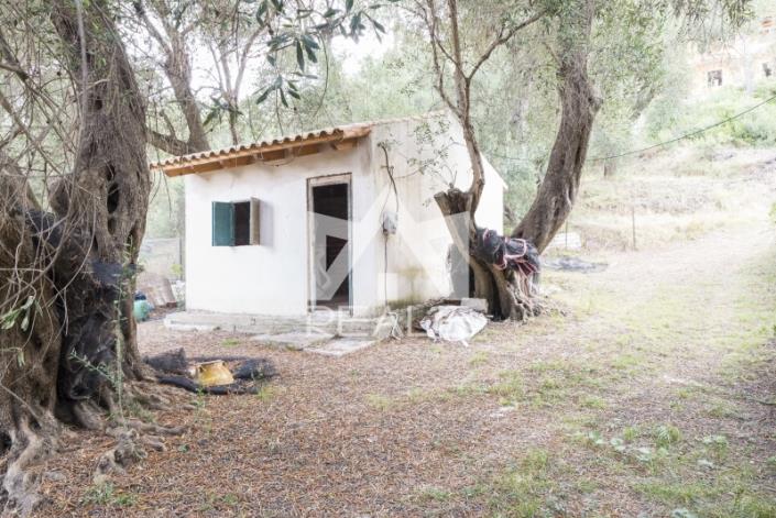 Image No.9-Studio de 2 chambres à vendre à Kerkyra