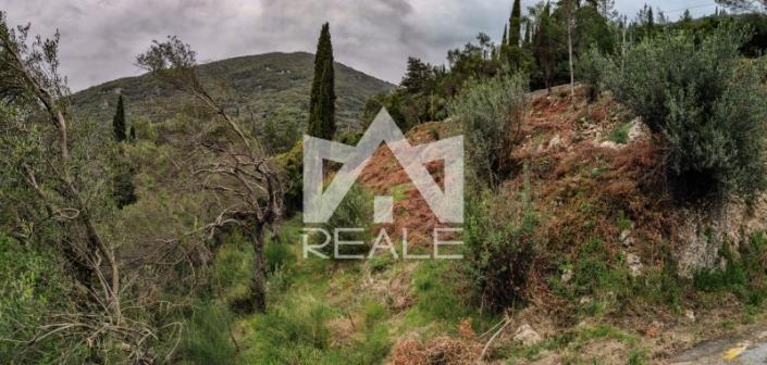 Image No.5-Terrain à vendre à Ano Korakiana