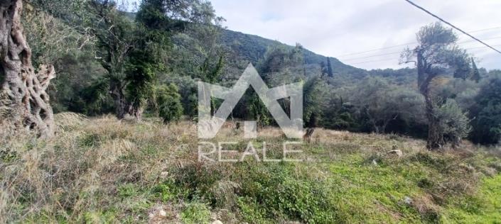 Image No.2-Plot for sale