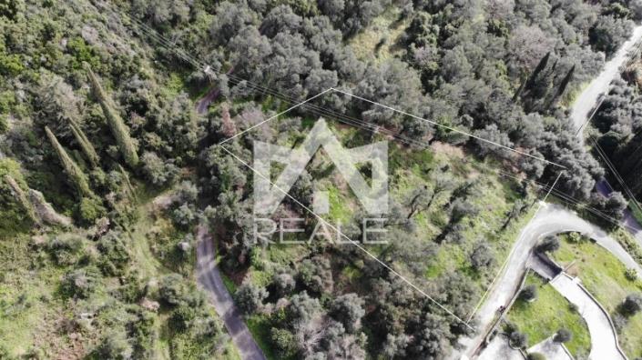 Image No.4-Plot for sale