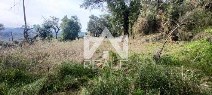 Image No.7-Plot for sale