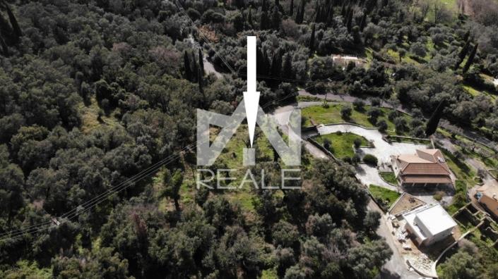 Image No.8-Plot for sale