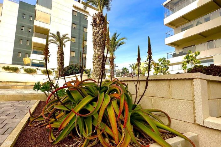 Image No.30-Appartement de 3 chambres à vendre à Los Dolses