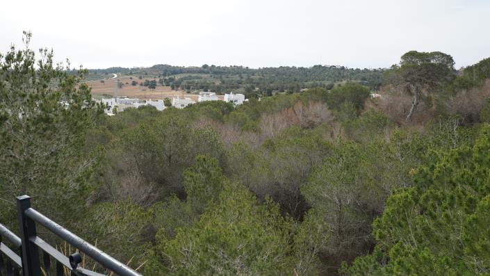 Image No.17-Villa de 4 chambres à vendre à San Miguel de Salinas