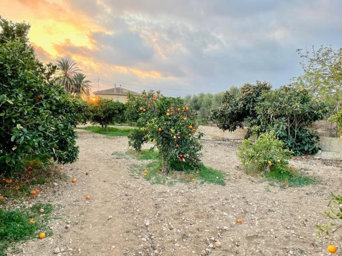 Image No.26-Maison / Villa de 5 chambres à vendre à Benidorm