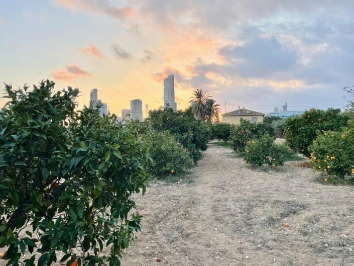 Image No.27-Maison / Villa de 5 chambres à vendre à Benidorm