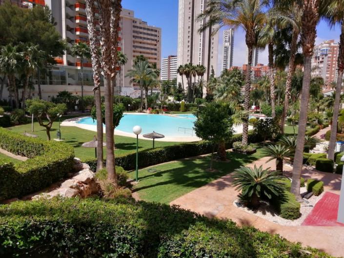 Image No.2-Appartement de 1 chambre à vendre à Benidorm