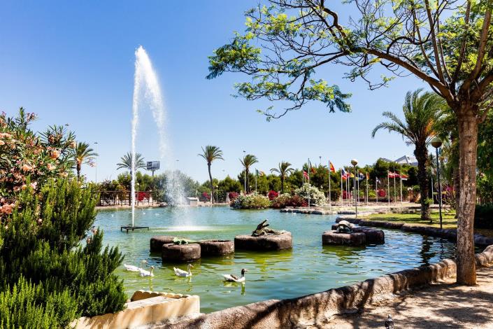 Image No.52-Appartement de 1 chambre à vendre à Torrevieja