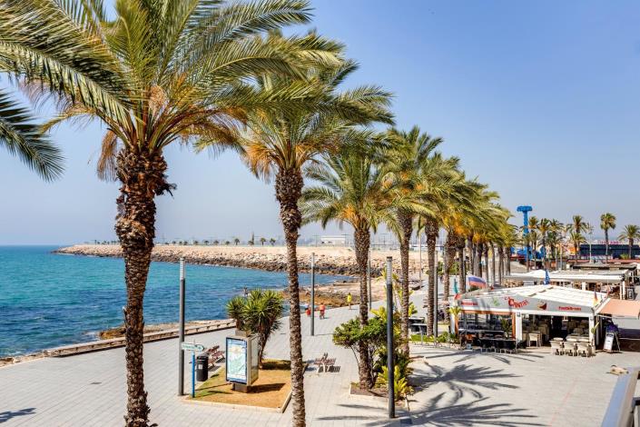 Image No.59-Appartement de 1 chambre à vendre à Torrevieja