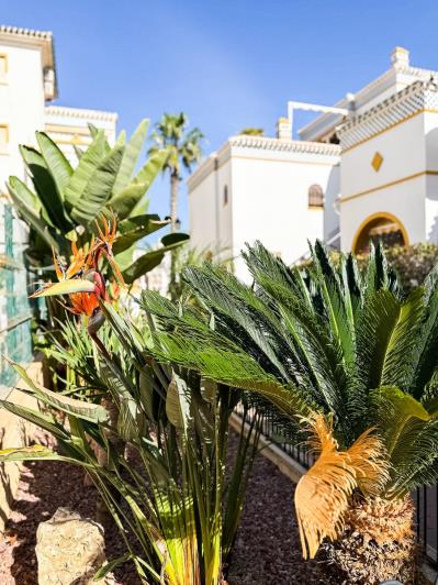 Image No.43-3 Bed Penthouse for sale