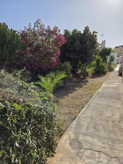 Image No.43-Maison de ville de 2 chambres à vendre à Playa Flamenca