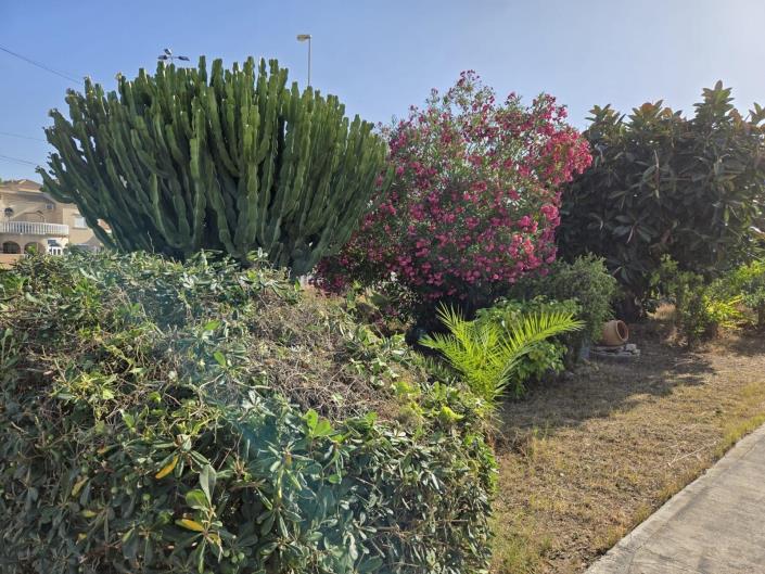 Image No.44-Maison de ville de 2 chambres à vendre à Playa Flamenca