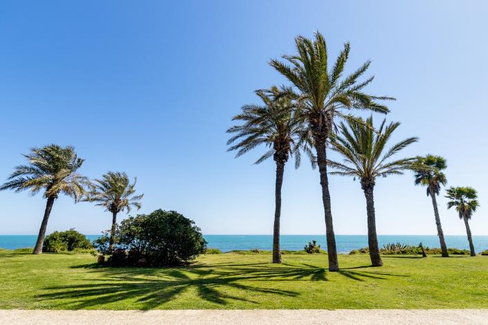 Image No.56-Appartement de 3 chambres à vendre à Torrevieja