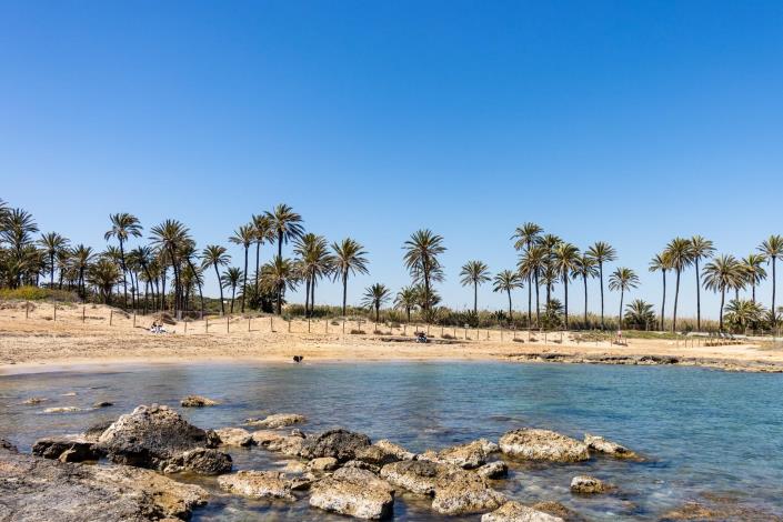 Image No.58-Appartement de 3 chambres à vendre à Torrevieja